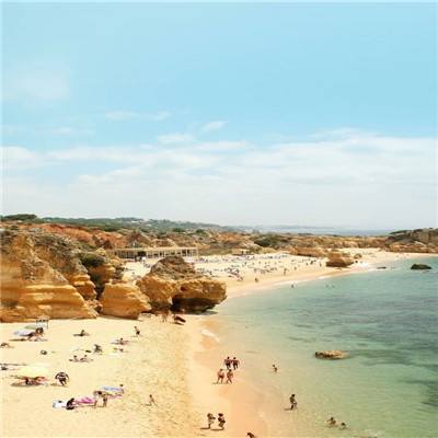 安博.体育app下载